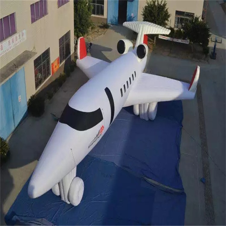 临洮充气模型飞机